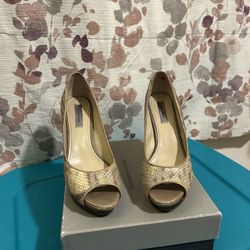 Classiques Entier Leather Heels