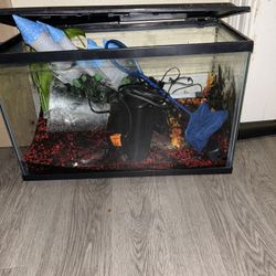 Fish Tank