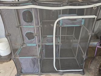Catio