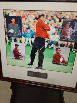 Tiger Woods