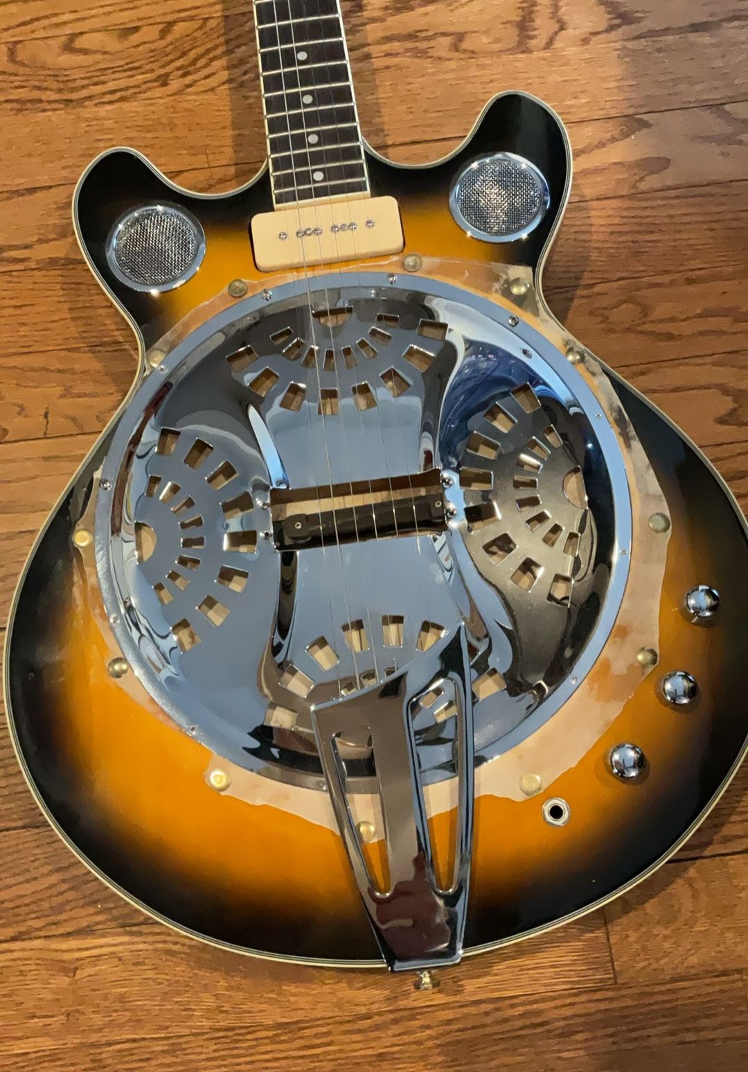 6 String Banjo Acoustic Electric 