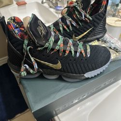 Nike LeBron 16 DS