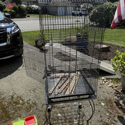 Beautiful Large Bird  Cage With Sticks And Toys 