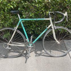 Centurion Accordo Bike