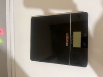 Scale