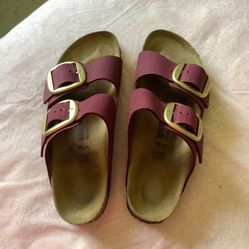Birkenstocks Arizona Big Buckle