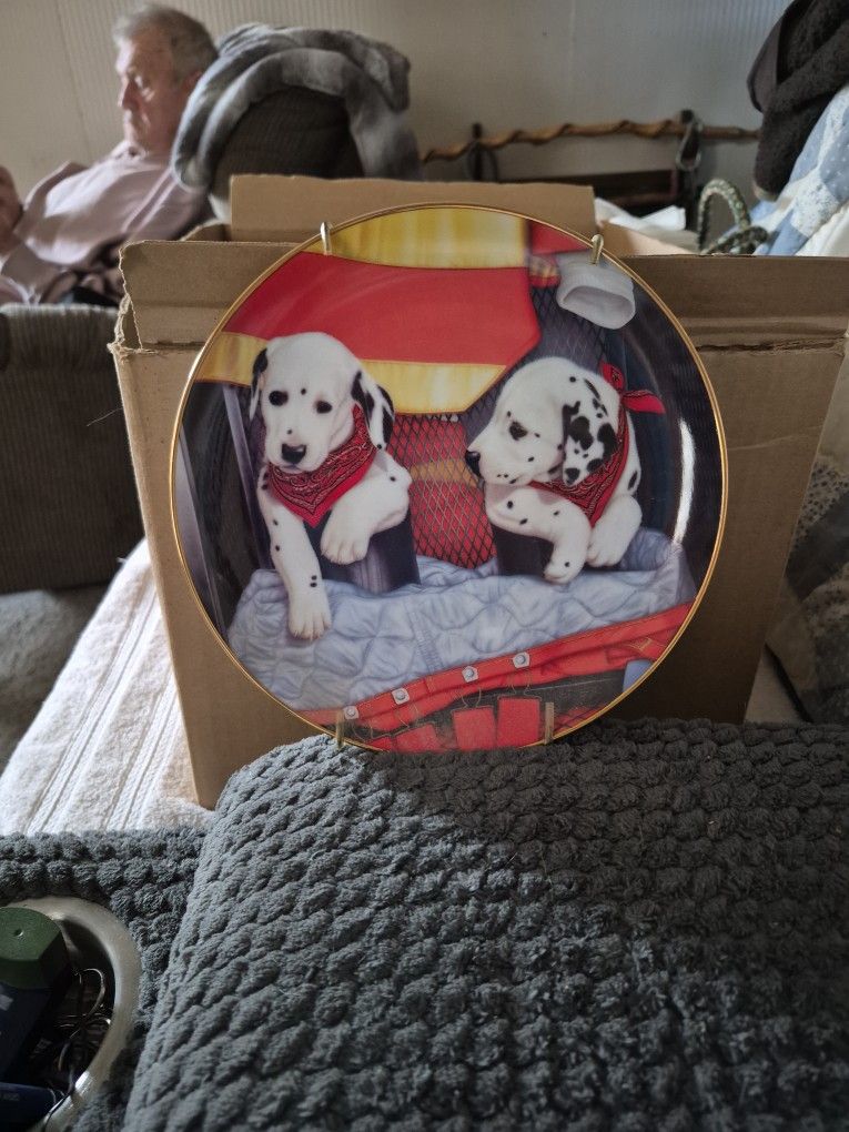 This Is A Collection Plate.  The Year 1992. Pups 'N Books