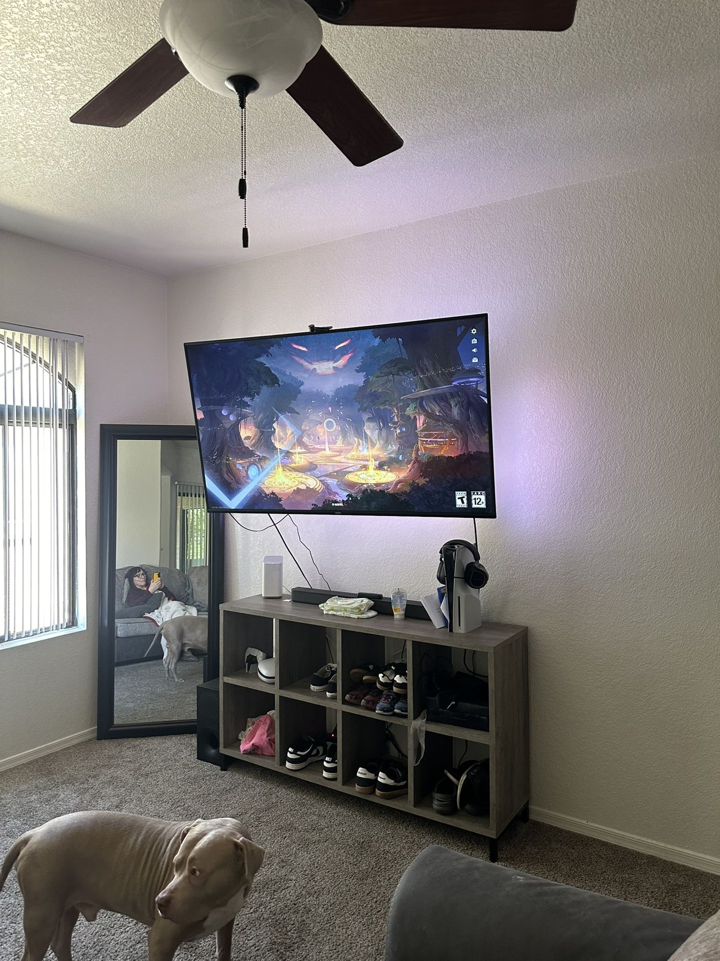 Anyone Need Help With A Wall Mounted Tv Please Reach Out. 