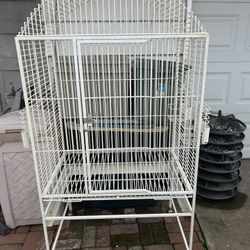 Bird Cage