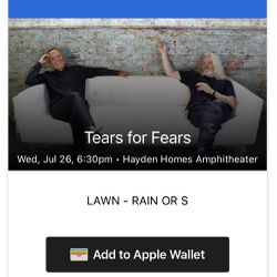 Tears For Fears GA Lawn tickets 7/25/23