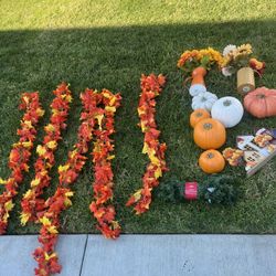 Feux Fall Decorations 