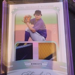 Minnesota Twins Prospect Charles Soto
