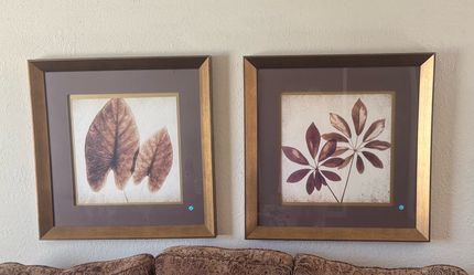 Botanical Leaf Framed Wall Art Set of 2
