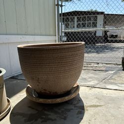 Beautiful Flower Pots 