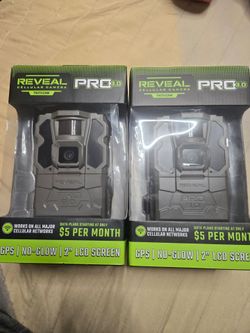 Reveal tactacam satellite camera