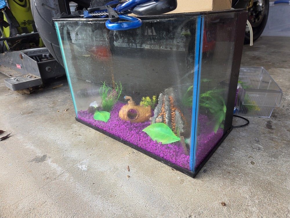 5 Gallon Fish Tank W/ Accessories - joarbit.com 5 Gallon Fish Tank W/ Accessories - joarbit.com
