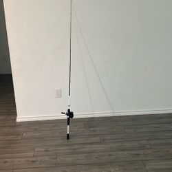 Baitcaster Fishing Pole With Couple Lures