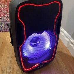 Big Light Up Speaker 