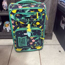Kids Luggage