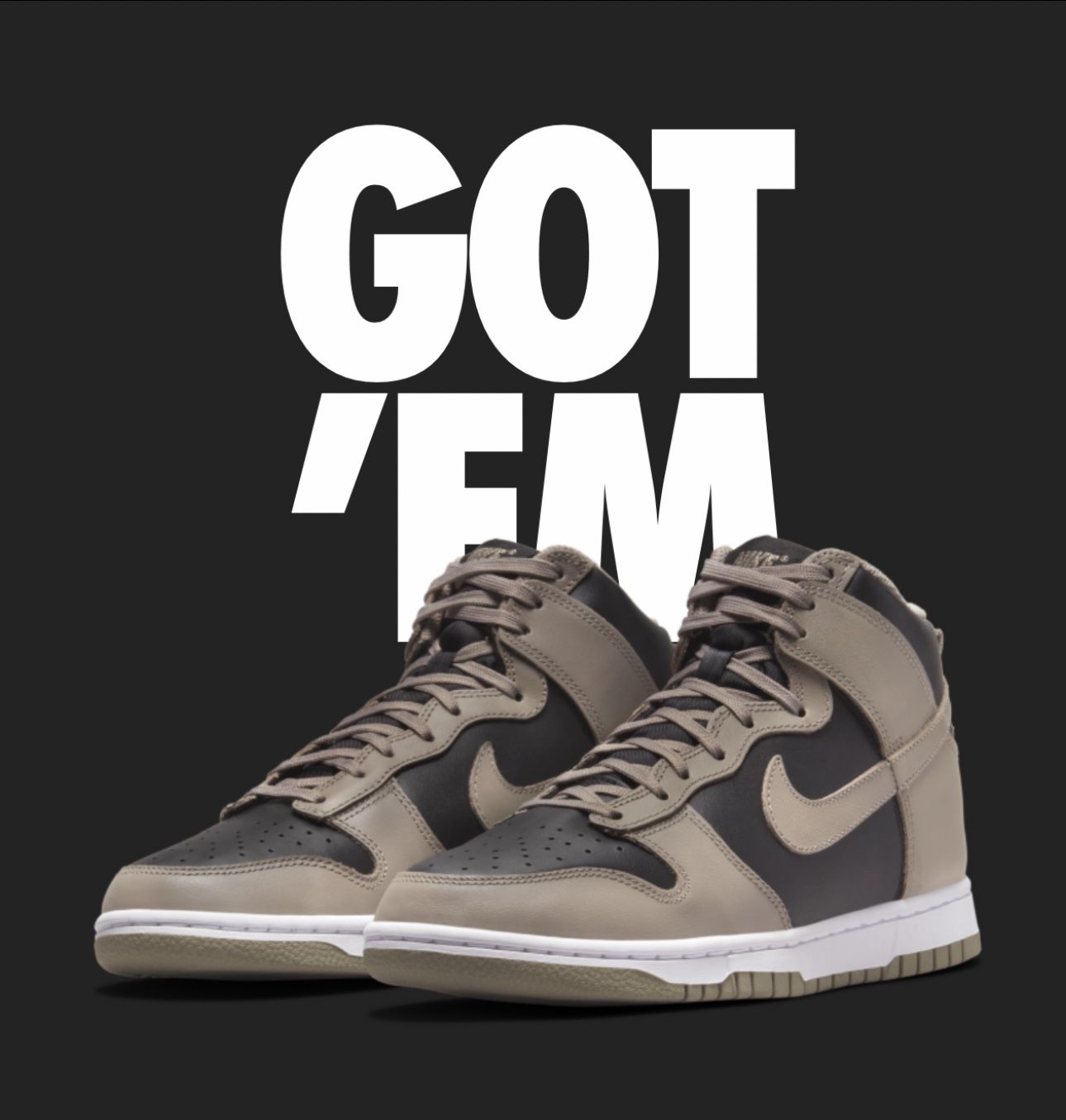 Nike Dunk High Moon Fossil Sneaker New In Box Men