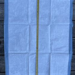 Disposable Absorbent Training PADS EXTRA-LARGE 