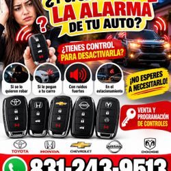 L o Tienes Control De Alarma Para Tu Vehículo 