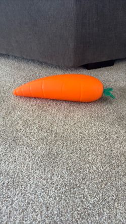 Carrot squishy