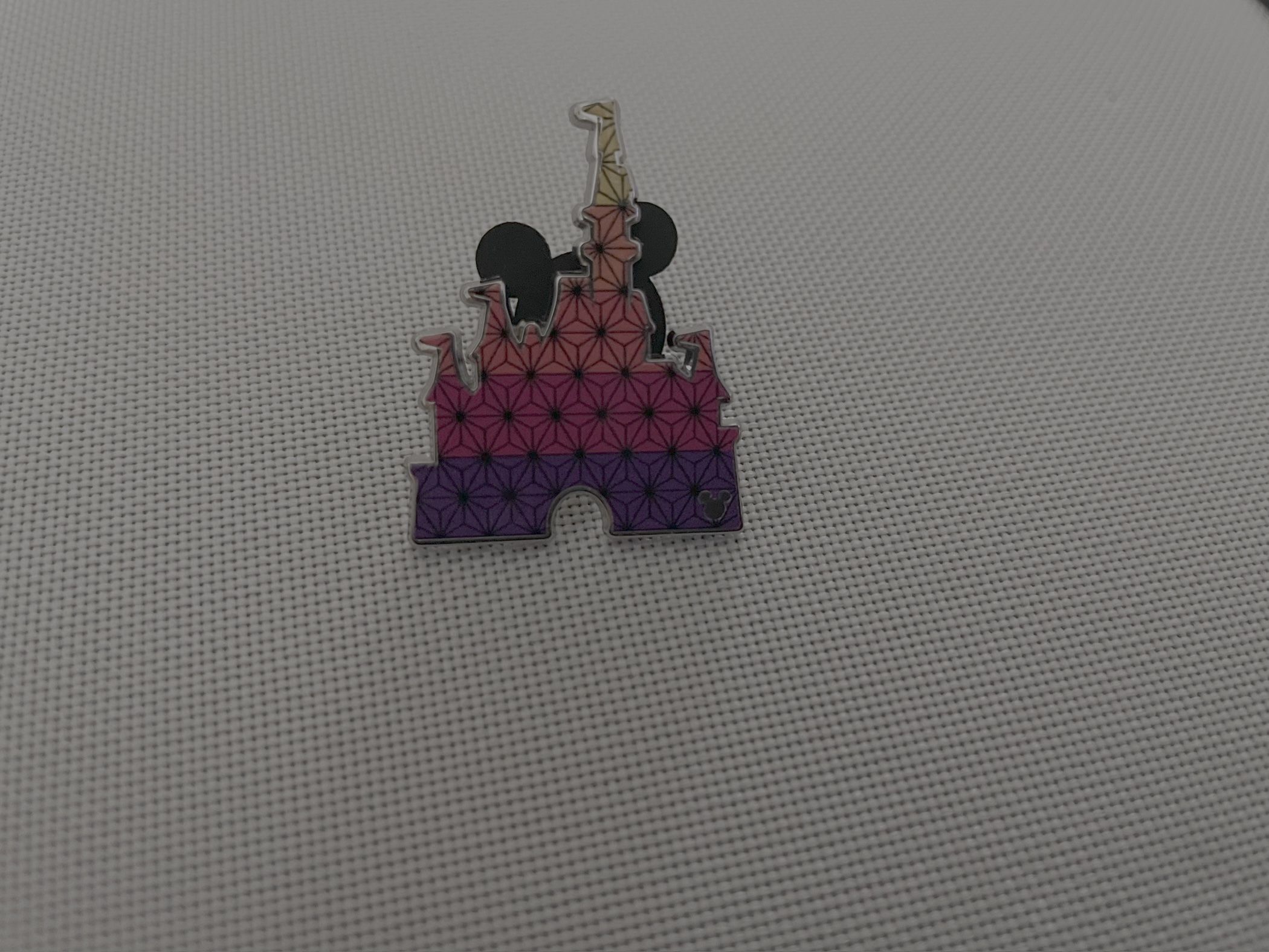 Epcot Castle chaser