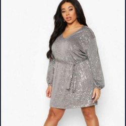 Sequin Belt Dress Sleeve