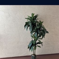 One Tall And Heavy 5.5 Foot Artificial Palm Tree Plant