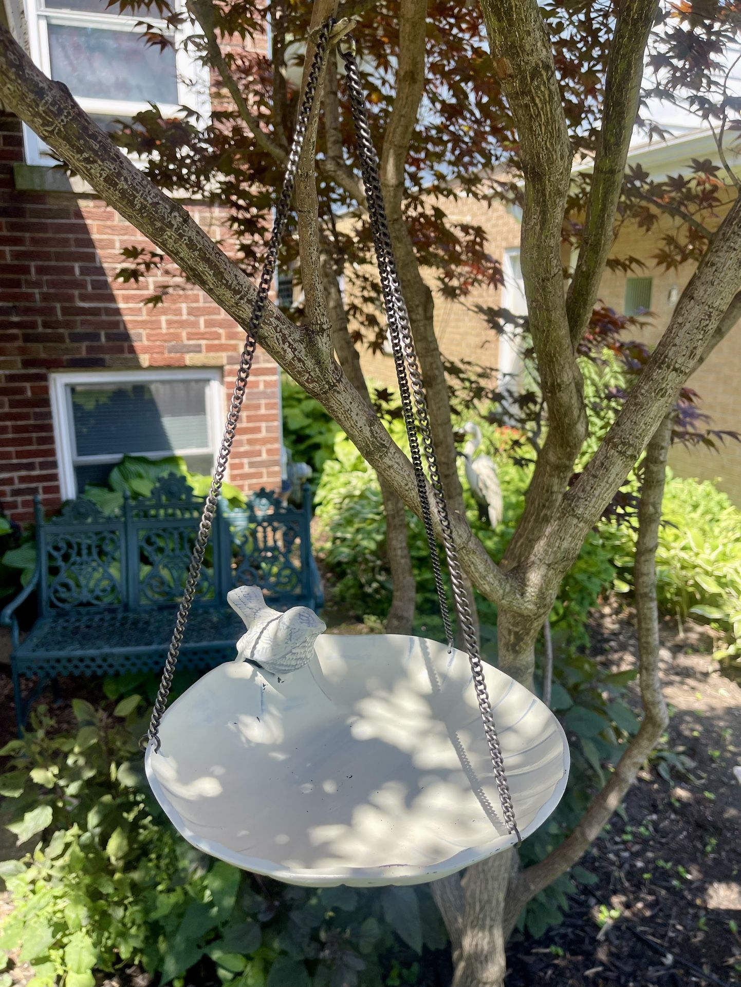 Scallop shell bird bath / feeder