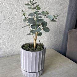 🌿 Faux Eucalyptus in Ceramic Pot – 14” Tall