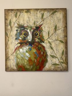Owl portrait