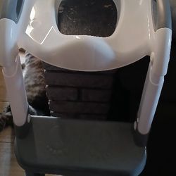 Sky Roku Training Potty