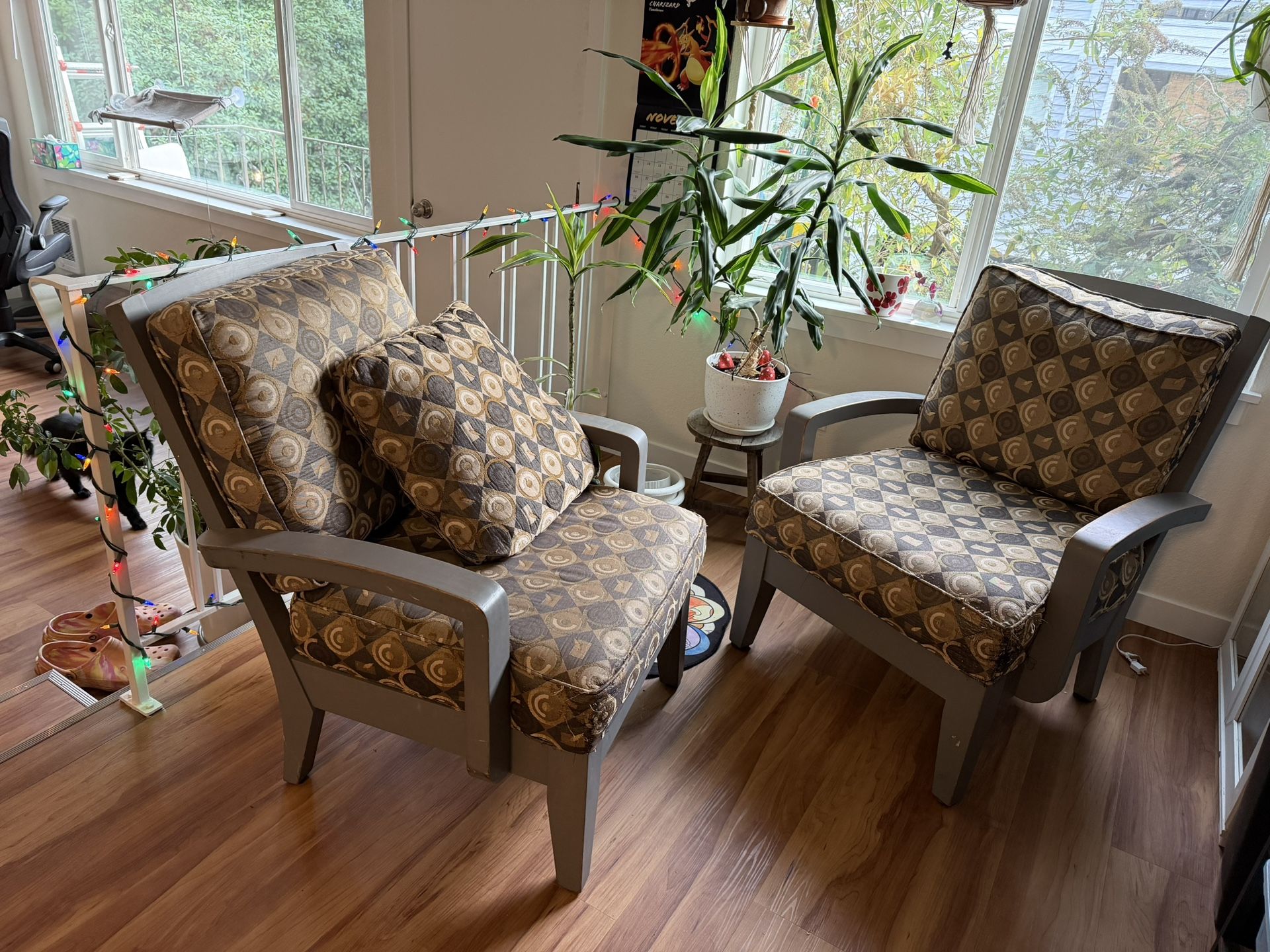 Two Chairs, Cat Friendly Home