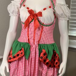 Adult Strawberry Shortcake sexy dress sz L by Legs Avenue