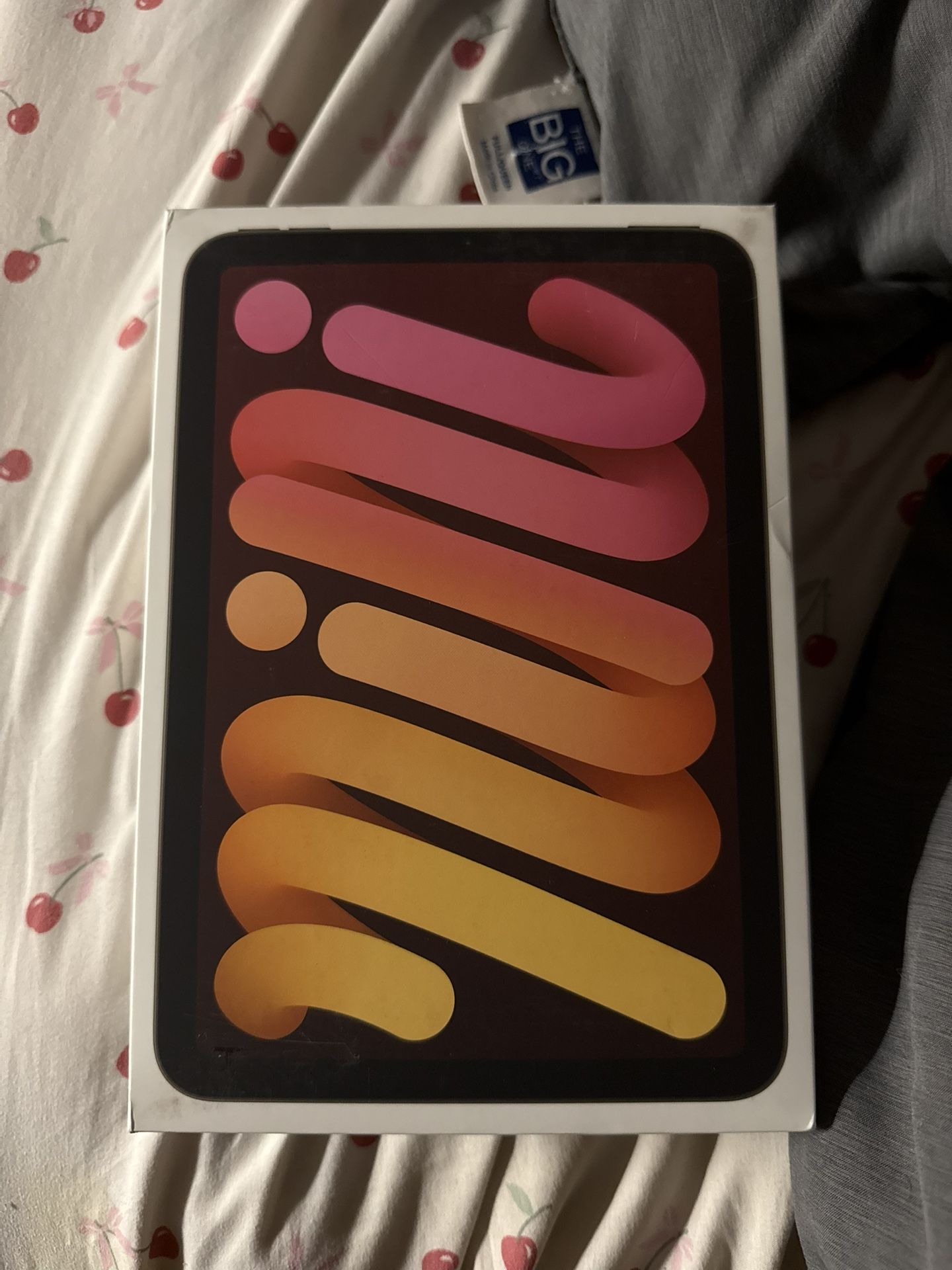 iPad Mini 2024 starlight 256GB