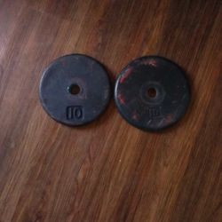 Two 10 Lb. Plate Weights 