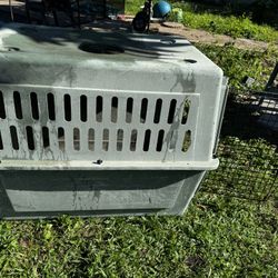 Animal Crate