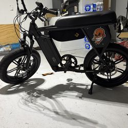 Electric bike