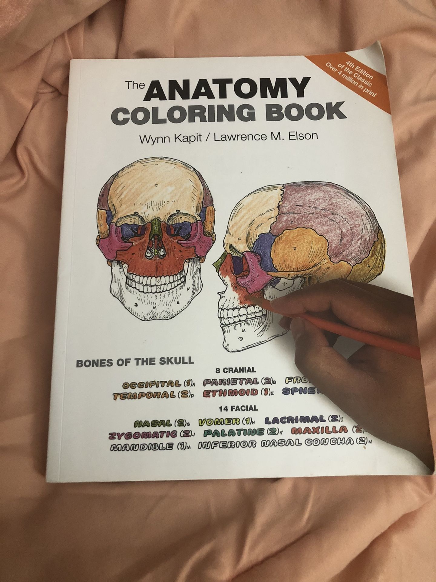 Anatomy coloring book $8