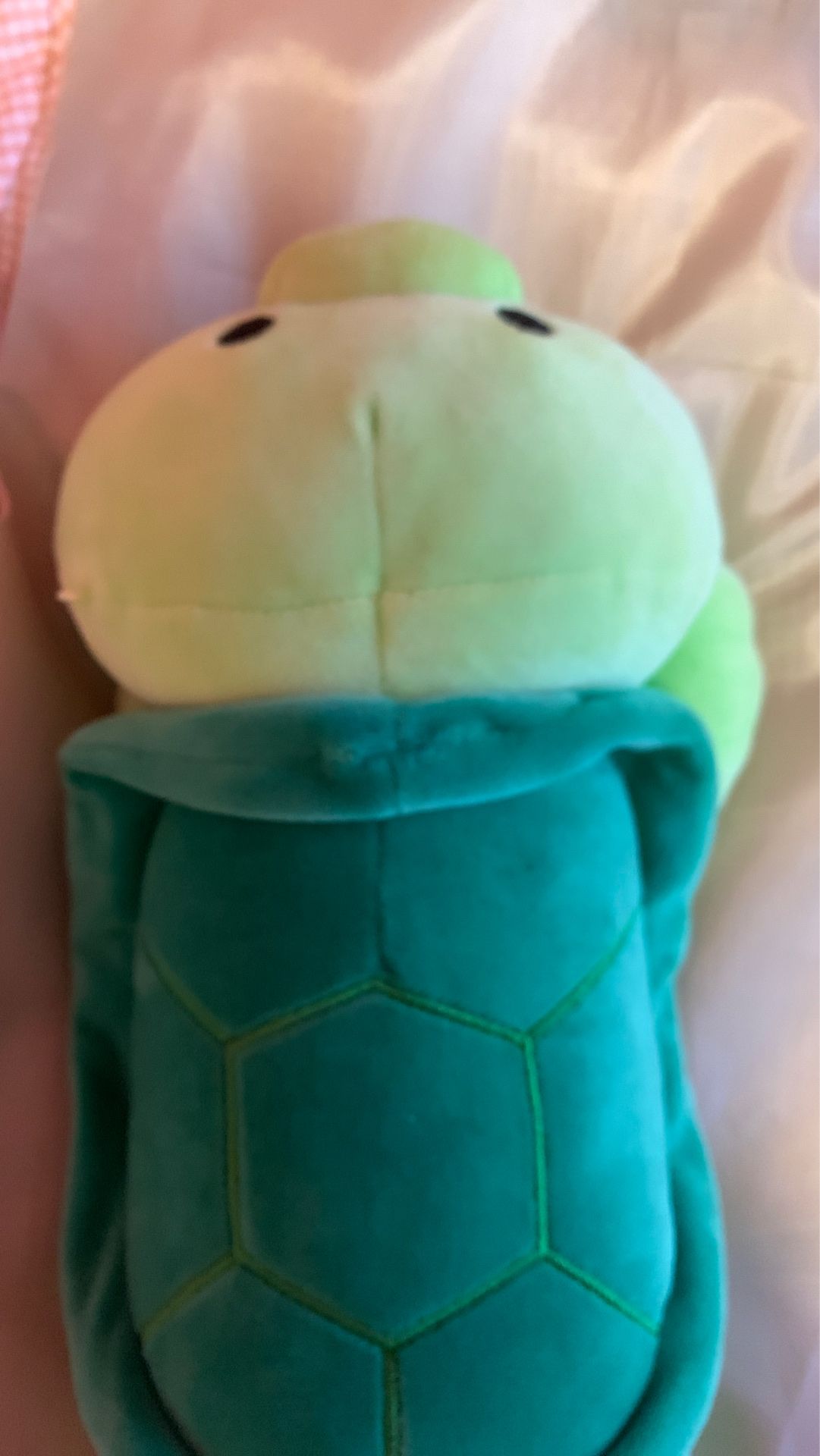 (Turtle plushy)