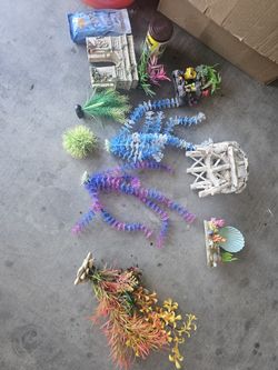 Fish Accessories 