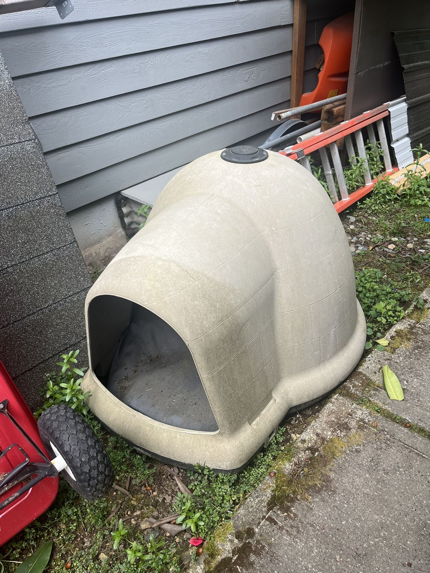 X-large Dog Igloo