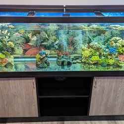 
Top Fin LED Aquarium 125 Gallon Fish Tank, Stand, 2 Orlushy Submersible Aquarium 500W heaters, Million Air Pump 400, & Bubble Stone Bar. Double Sided
