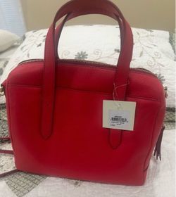 Fossil purse