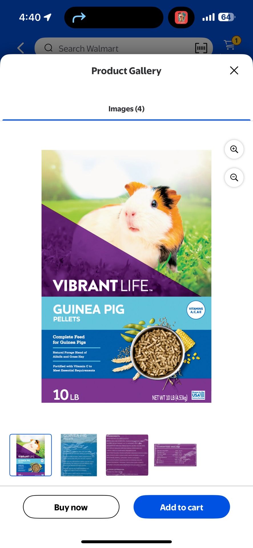 guinea pig food