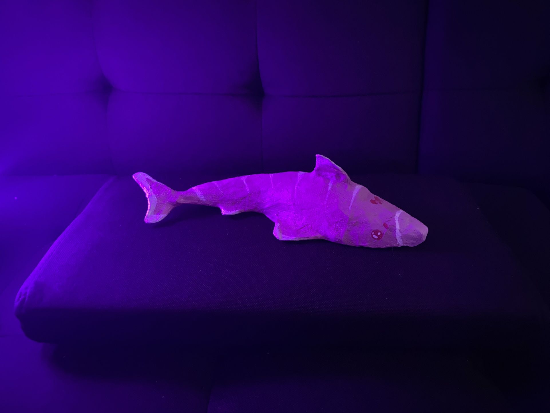 shark