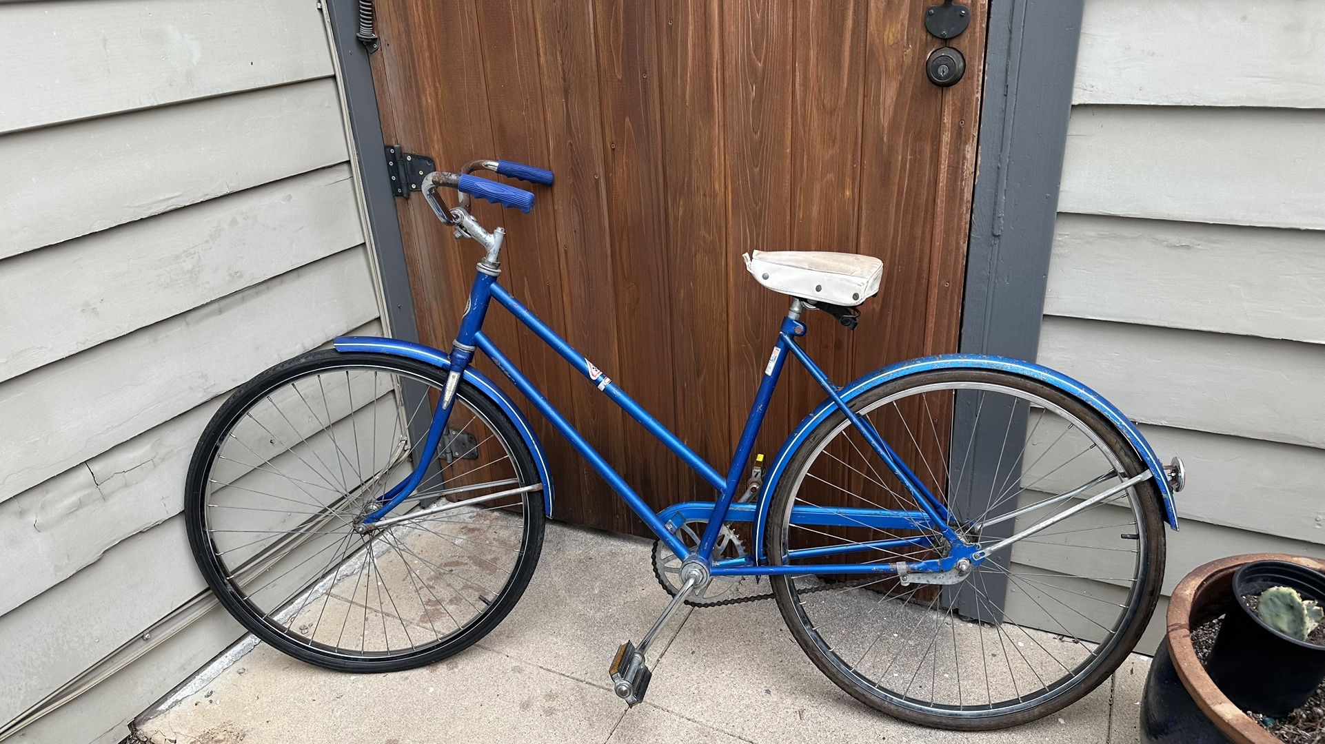 Sears Roebuck Blue Vintage bike (1 Speed)