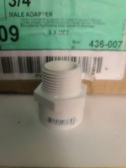 Charlotte Pipe PVC Schedule 40 Corrosion Resistant 3/4 in Male Adapter